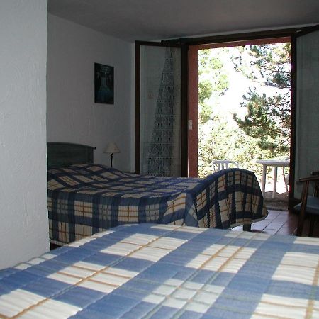 Chambres D'Hote L'Amandiere A Cucugnan Bagian luar foto