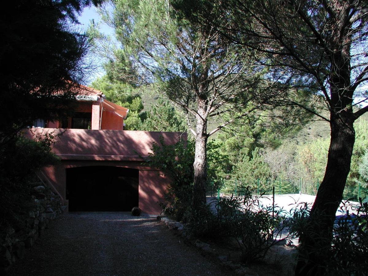 Chambres D'Hote L'Amandiere A Cucugnan Bagian luar foto