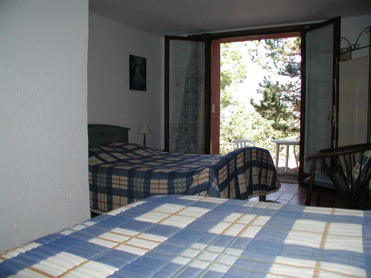 Chambres D'Hote L'Amandiere A Cucugnan Bagian luar foto